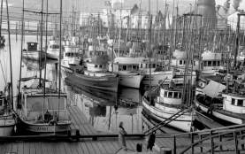 Fish Story Screen Grab 3