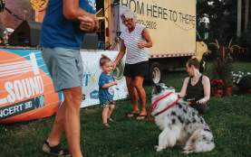 Young child playing with a dog at a concert on the lawn