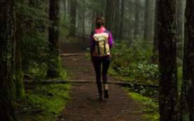 A person walking on a dirt path in a dark mossy forest.