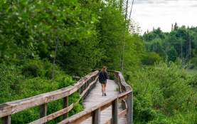 Richards-Marsh-Park-Tyler-Cave