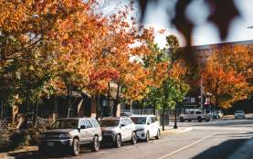 A city street lined with parked cars and trees with bright autumn leaves.