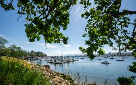 Saysutshun harbor with boats