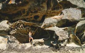 Jack Point Park - Sandstone formations