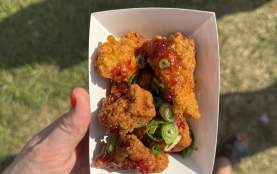 Fried Alligator - Clesi's Seafood Restaurant (Jazz Fest)