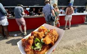 Fried Alligator - Clesi's Seafood Restaurant (Jazz Fest)