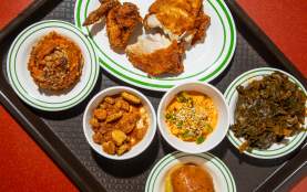 Fried Chicken and Sides - Hot Stuff
