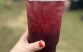 Rosemint Tea - Jazz Fest
