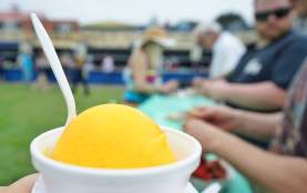 Mango Freeze