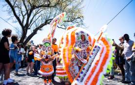 Super Sunday Mardi Gras Indians - Golden Blades