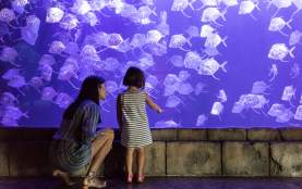 Audubon Aquarium