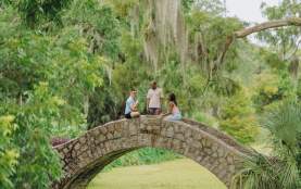Friends Gather In City Park