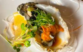 Omakase at Shogun in Metairie, LA