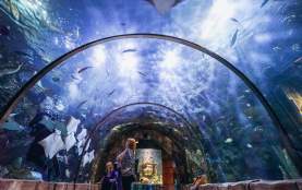 Audubon Aquarium of the Americas