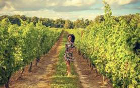 Outbrain Niagara Vineyards Sue Ann Staff