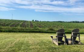 Wescott Wineyards