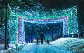 Ingersoll Lights kids