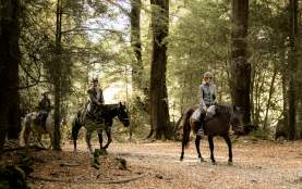 High Country Horses Glenorchy
