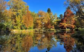 Queenstown Gardens with Adele Heidenreich