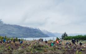 Love Queenstown Industry Planting Day