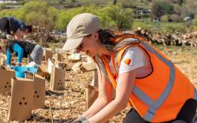 Volunteers helping plant thousands of native trees at Love Queenstown's Lake Hayes Tourism Planting Day