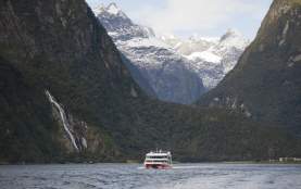 Southern Discoveries Cruise in Milford Sound