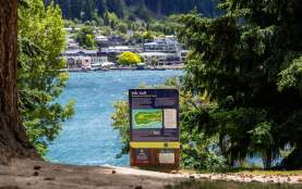 A landscape image of disc golf course in the Queenstown Gardens