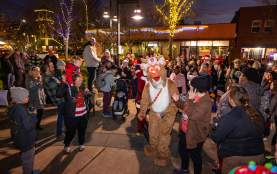 Downtown Piazza Park Reindeer