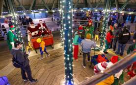 Clam Lights Belvedere