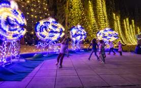 Clams at Clam Lights