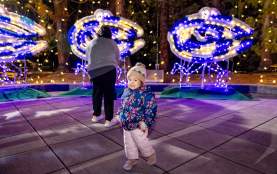 Ivar’s Clam Lights