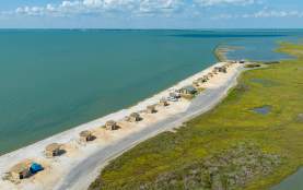 Goose Island Shoreline