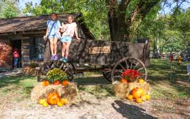 Pioneer Days at Fowler Park