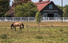 Saint Mary of the Woods barn and horses