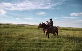 Men on horses