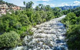water rushing over a creekbed with foliage and trees on either side