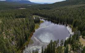 a lake surrounded by trees