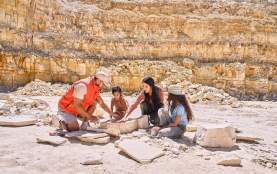 Family fossil quarry fossil butte