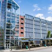 Discover Downtown Renton: Free Parking, Summer Fun, and Easy Exploring