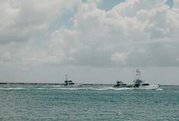 Things to do-fishing-charters-offshore