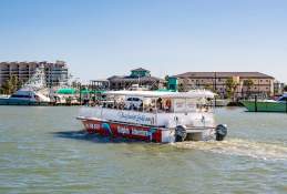 Cruise the Day Away