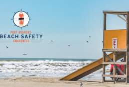 Safety in the Surf