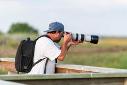 Birding Tours in Port Aransas