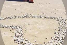 Shorely Blessed Vacation Properties