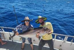 Dolphin Dock, Inc.