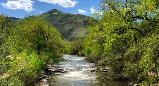 Clear creek water on sale shoes