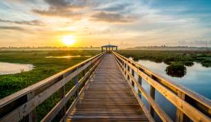 Cattail Marsh Boardwalk