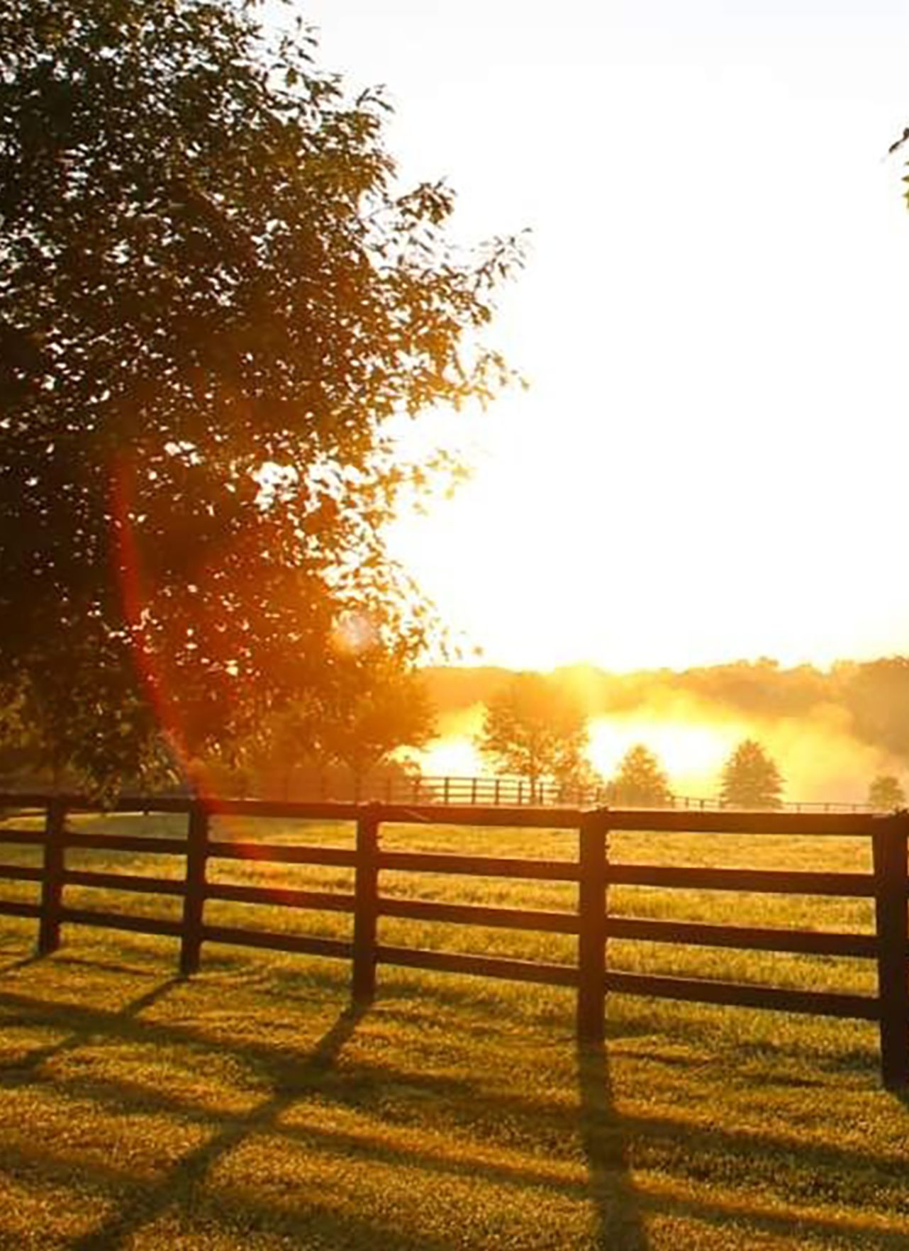 Farm Land