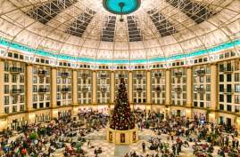 WB Tree Lighting Pano
