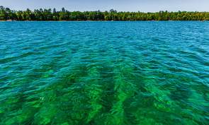 North Higgins Lake State Park