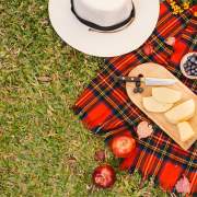 Vámonos de picnic en Houston